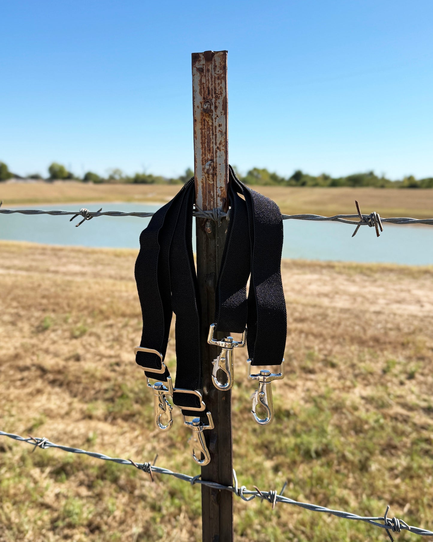 AJ Tack Elastic Replacement Blanket Leg Strap Pair