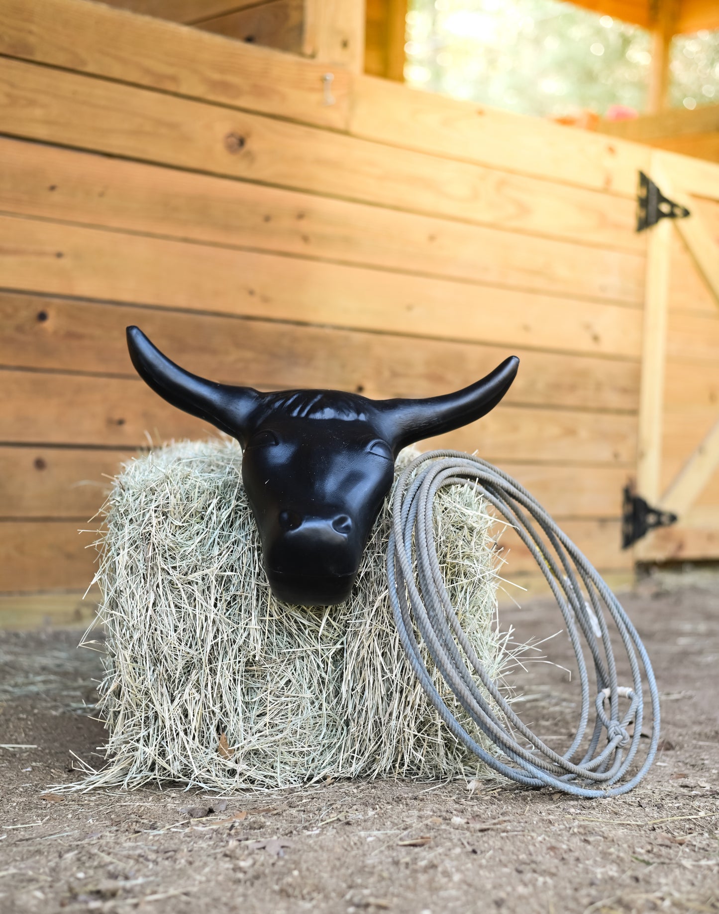 AJ Tack Steer Head Roping Dummy Rope Set