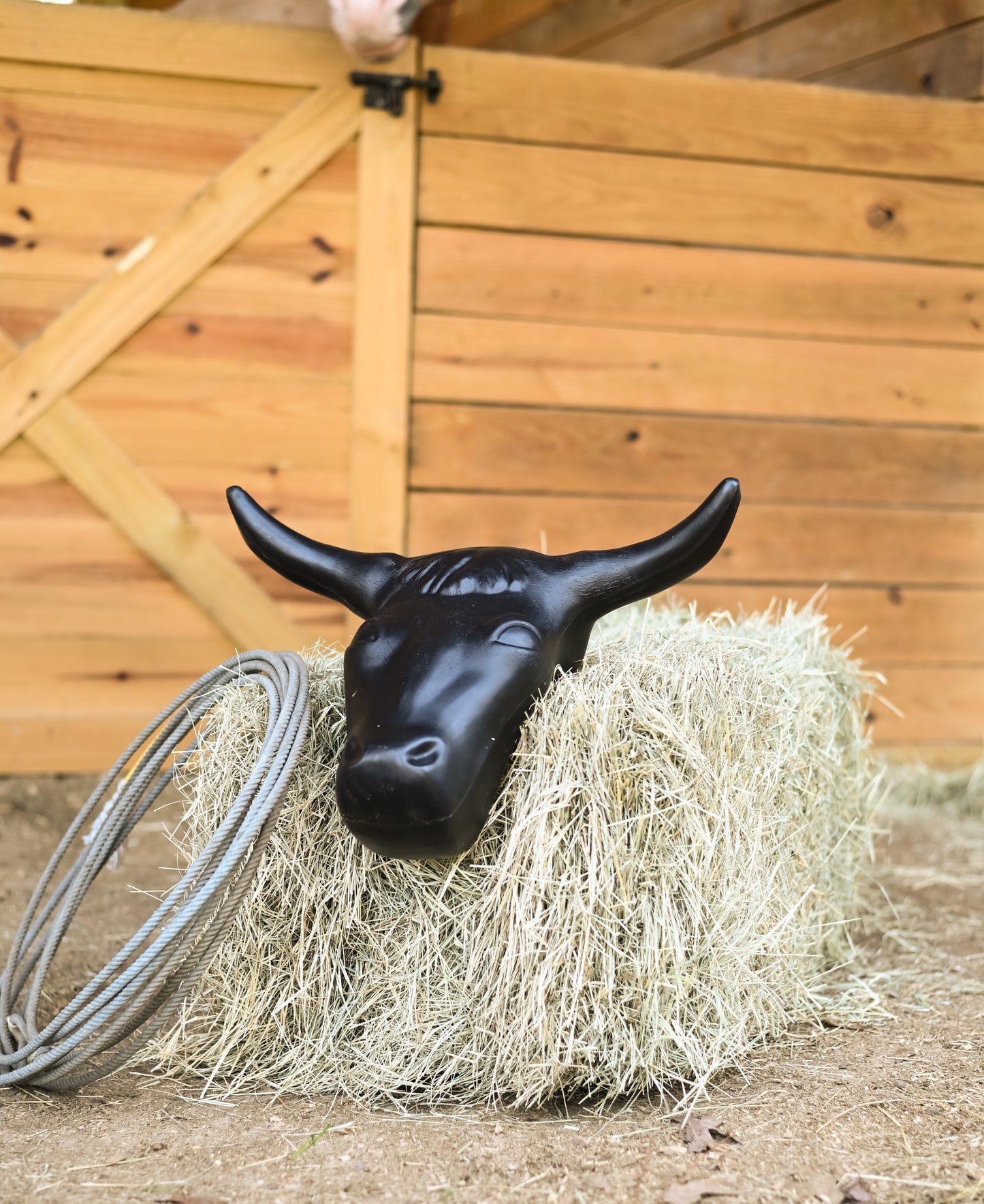 AJ Tack Steer Head Roping Dummy Rope Set