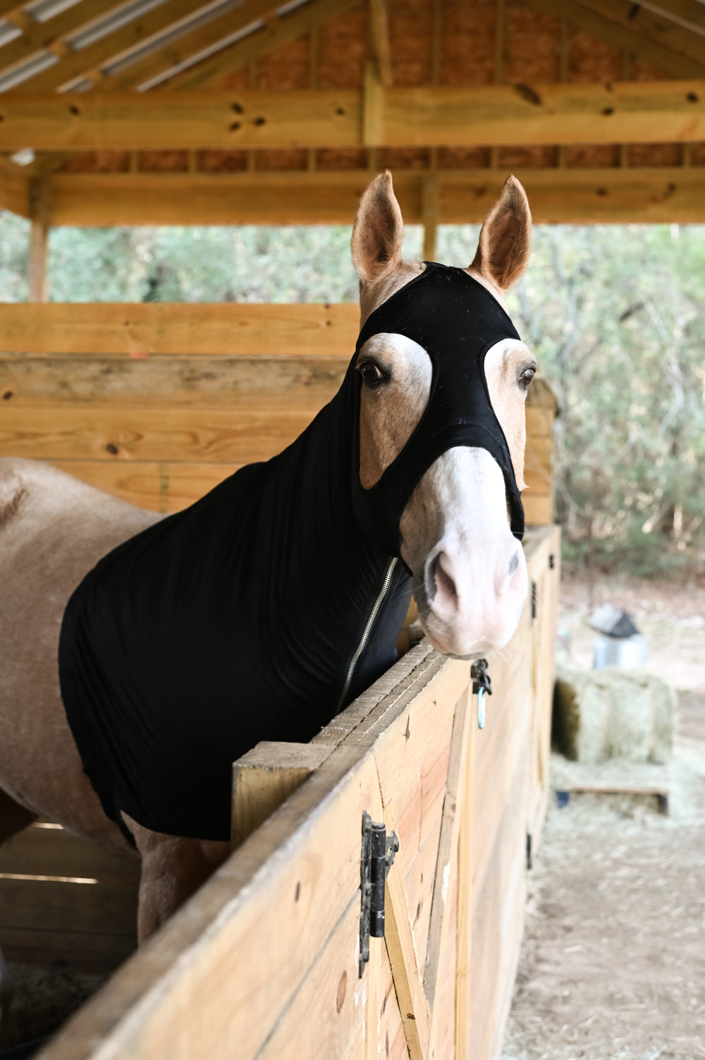 AJ Tack Full Zip Lycra Hood