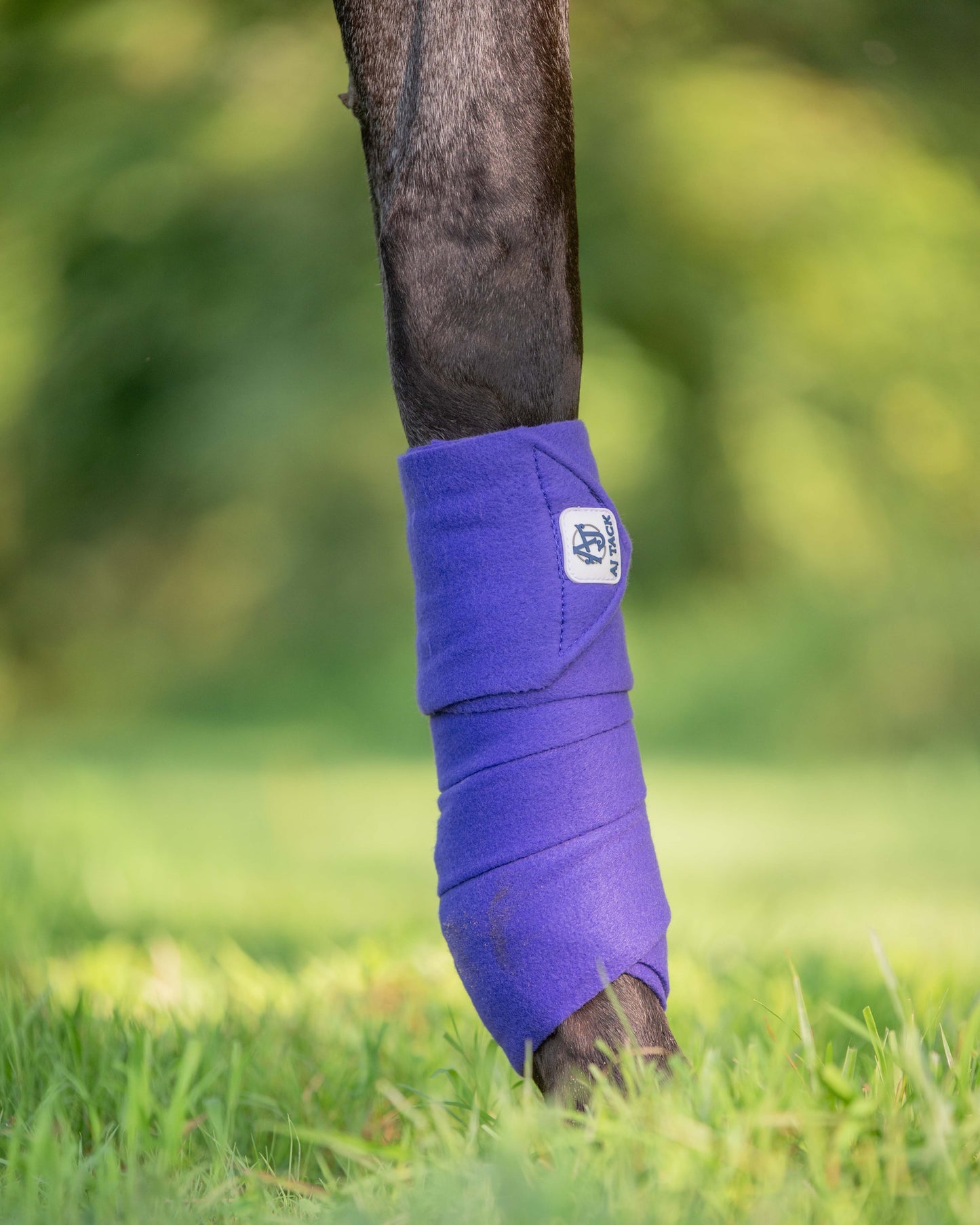 AJ Tack Polo Wraps - 12 ft - Pack of 4