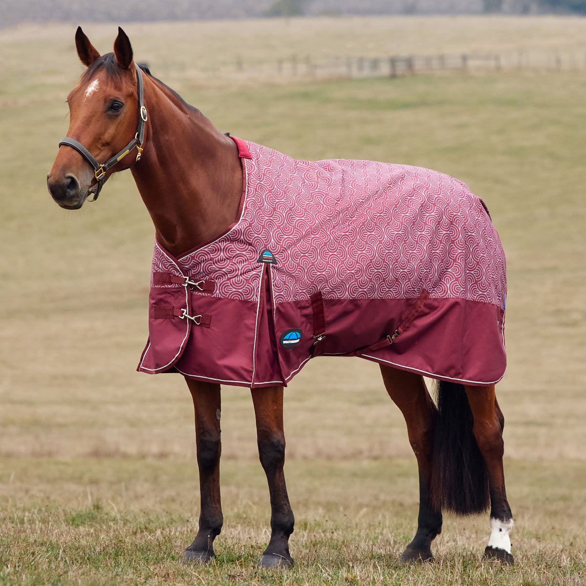 image_addtnl_1 - Bit Print - WeatherBeeta ComFiTec Limited Edition Turnout 220g - .jpg