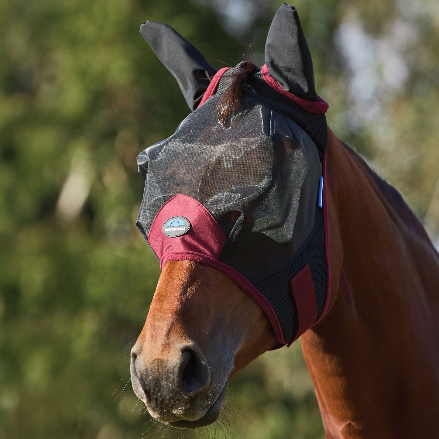 image_addtnl_1 - Black/Burgundy - WeatherBeeta ComFiTec Fine Mesh Fly Mask with Ears - .jpg