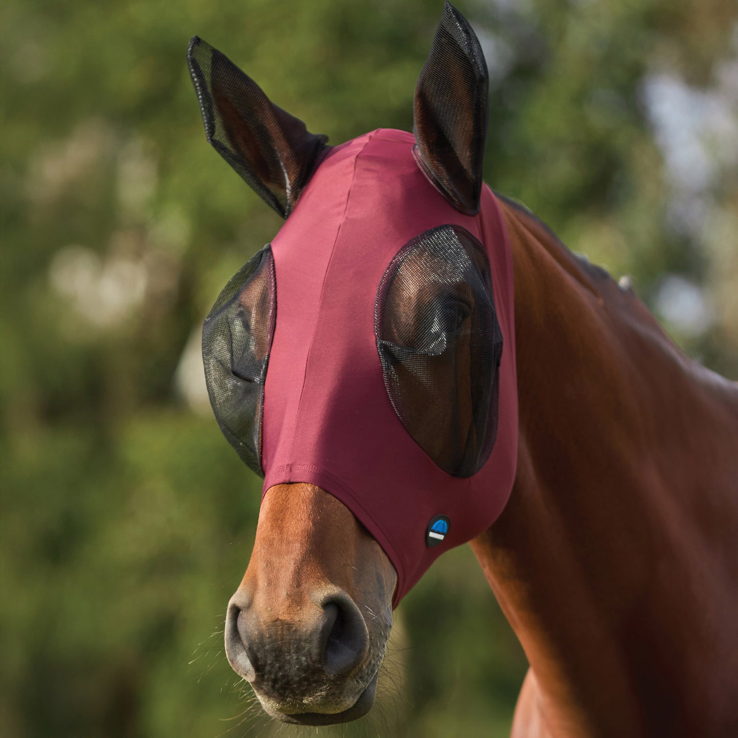 image_addtnl_1 - Burgundy/Black - WeatherBeeta ComFiTec Stretch Fly Mask with Ears - .jpg