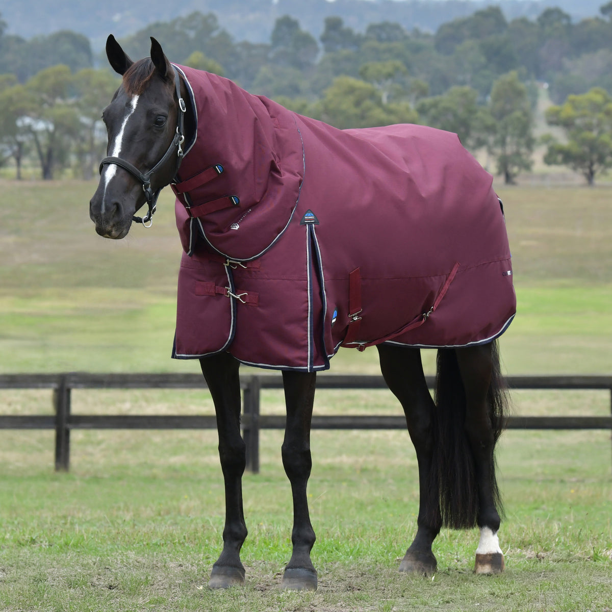 image_addtnl_1 - Burgundy/Navy - WeatherBeeta ComFiTec Essential Turnout Detach-A-Neck 220G - .jpg
