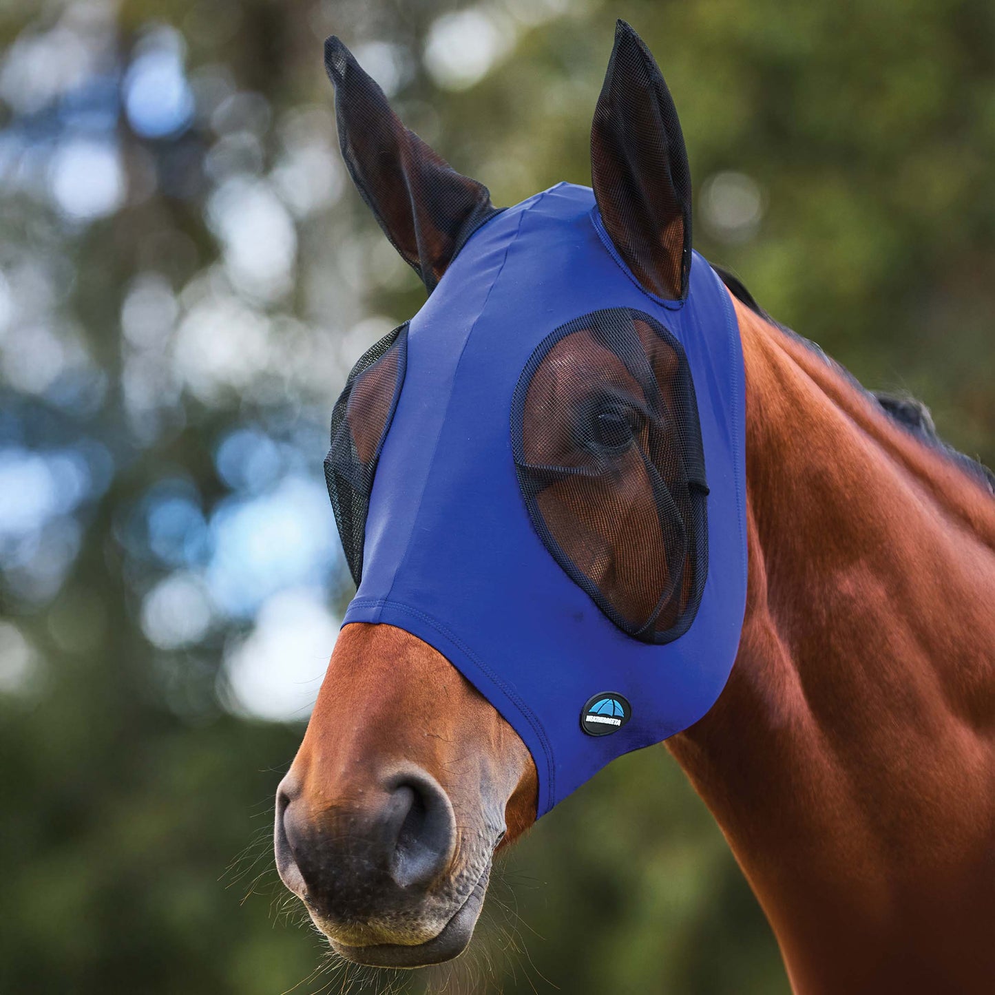 image_addtnl_1 - Cobalt/Black - WeatherBeeta ComFiTec Stretch Fly Mask with Ears - .jpg