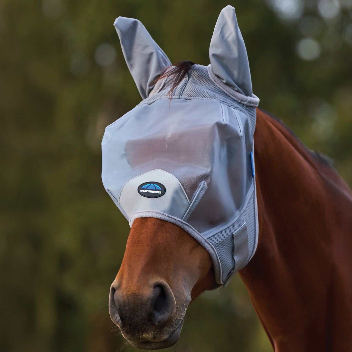 image_addtnl_1 - Grey - WeatherBeeta ComFiTec Fine Mesh Fly Mask with Ears - .jpg