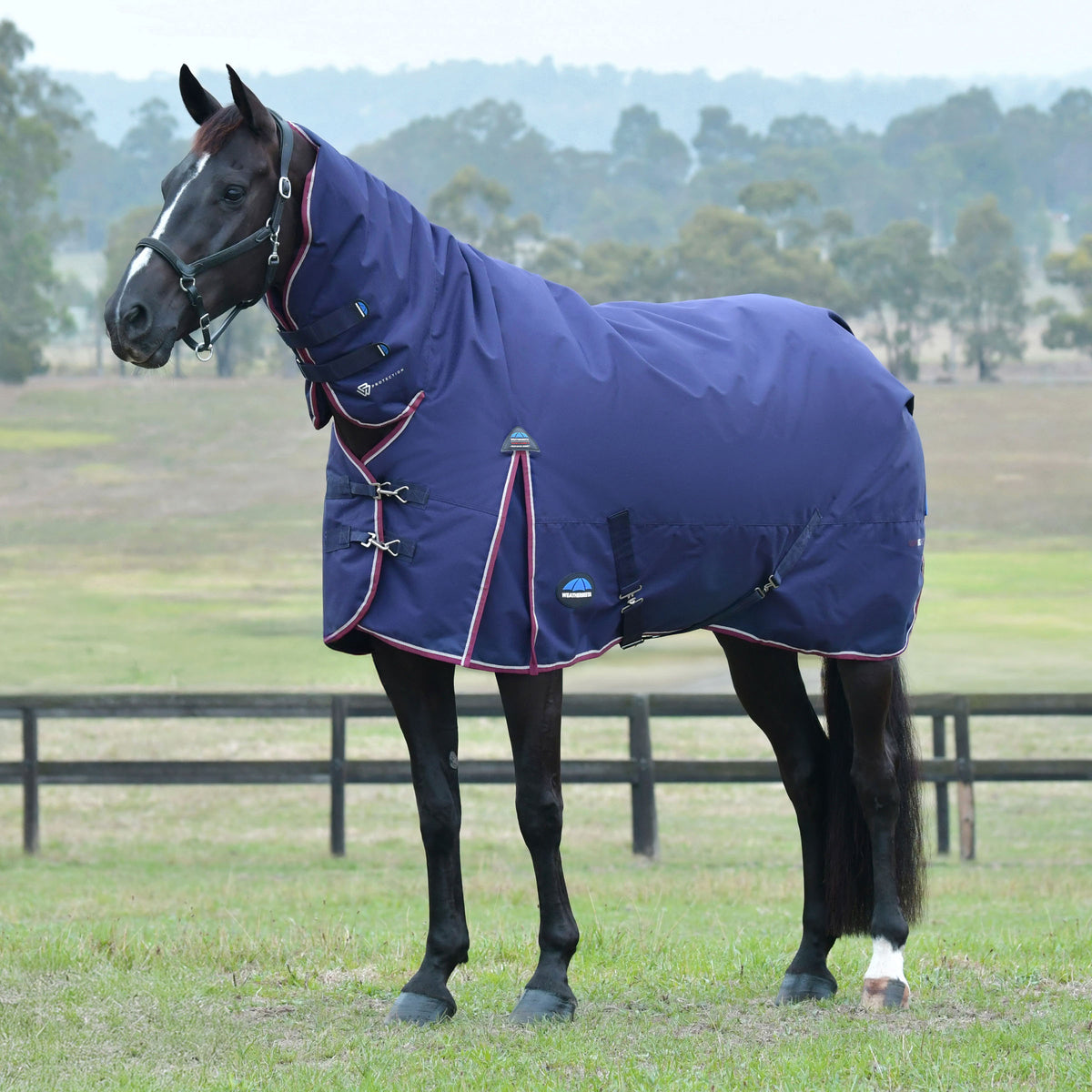 image_addtnl_1 - Navy/Burgundy - WeatherBeeta ComFiTec Essential Turnout Combo 360g - .jpg