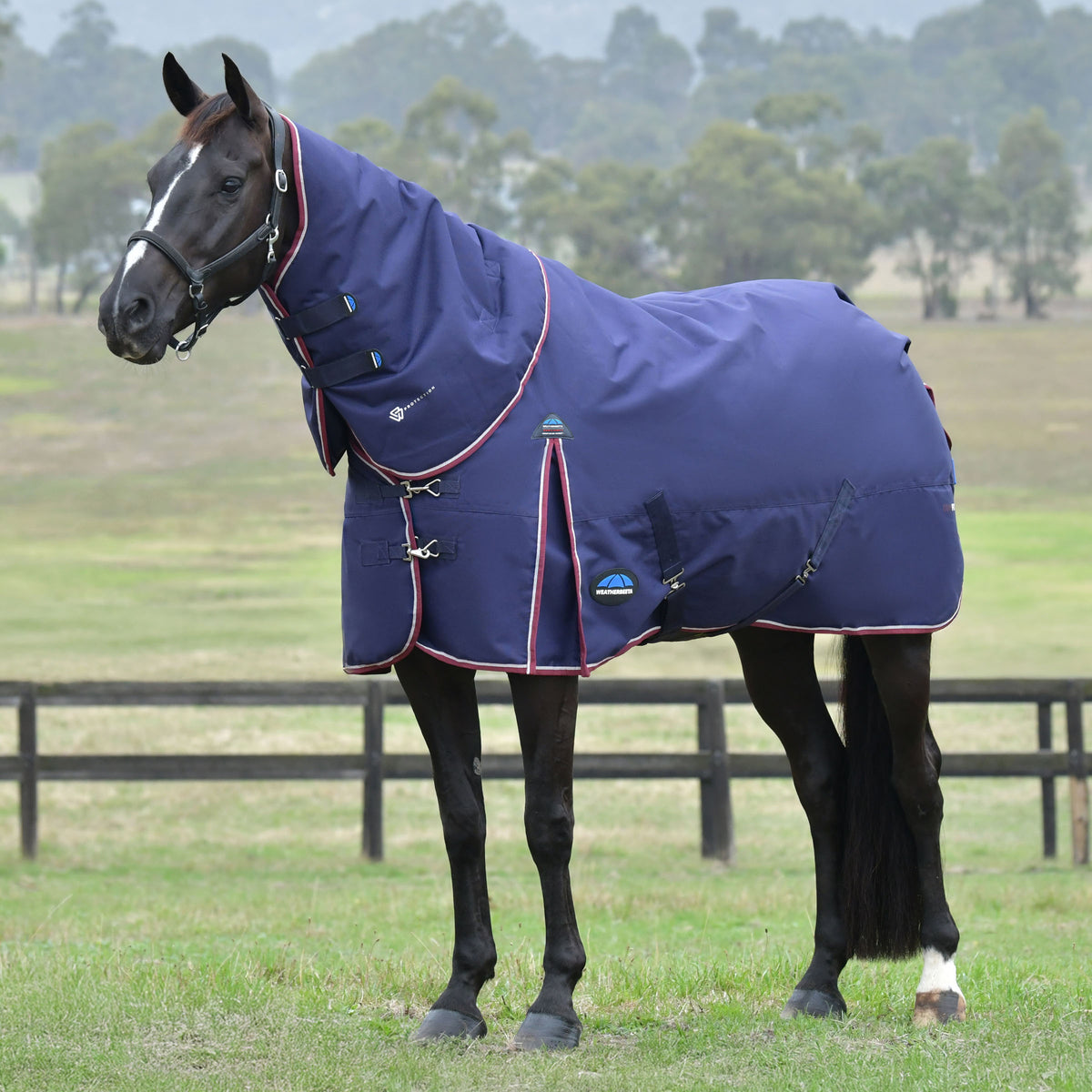 image_addtnl_1 - Navy/Burgundy - WeatherBeeta ComFiTec Essential Turnout Detach-A-Neck 220G - .jpg