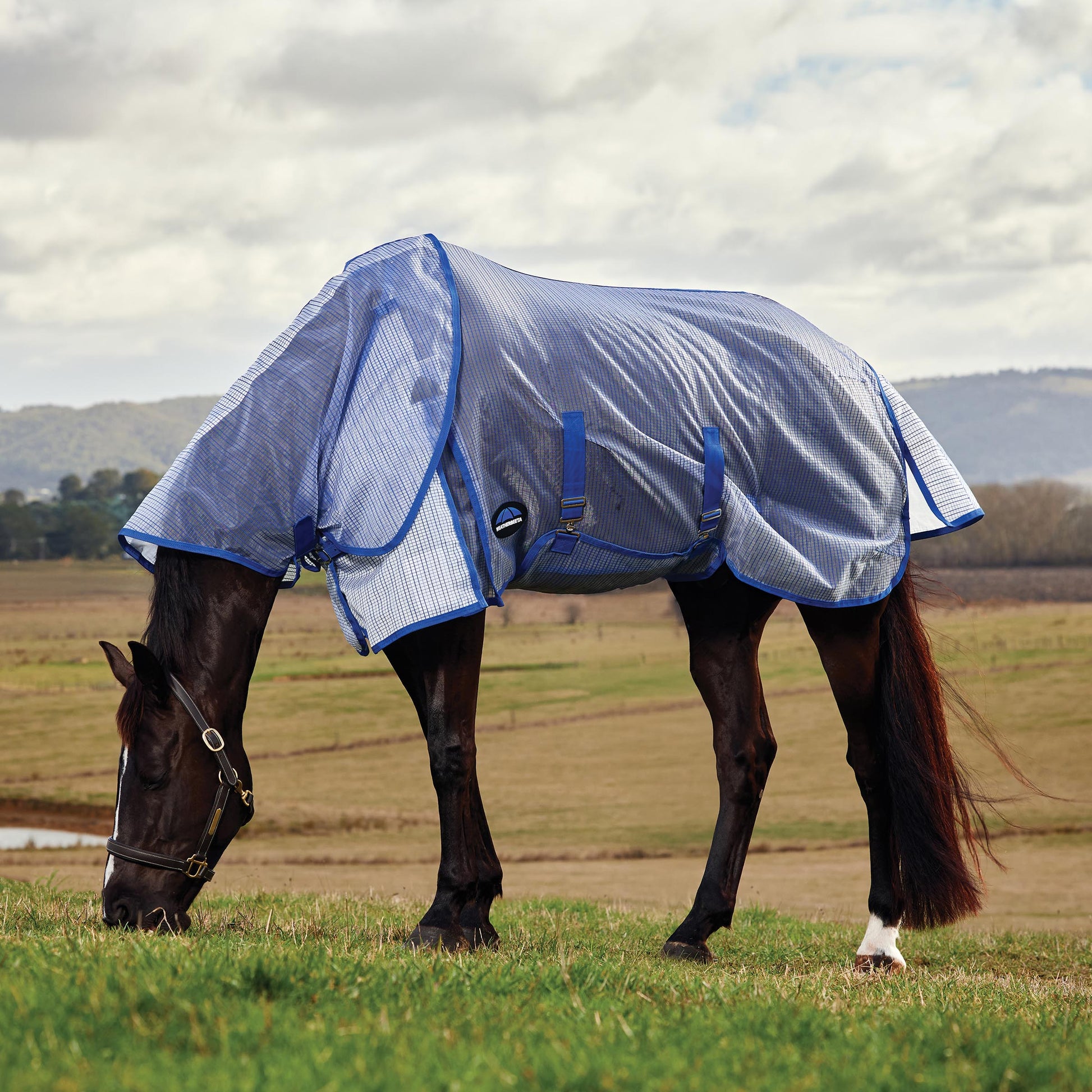 image_addtnl_1 - White/Cobalt - WeatherBeeta ComFiTec Ripshield Fly Sheet Detach-A-Neck - .jpg