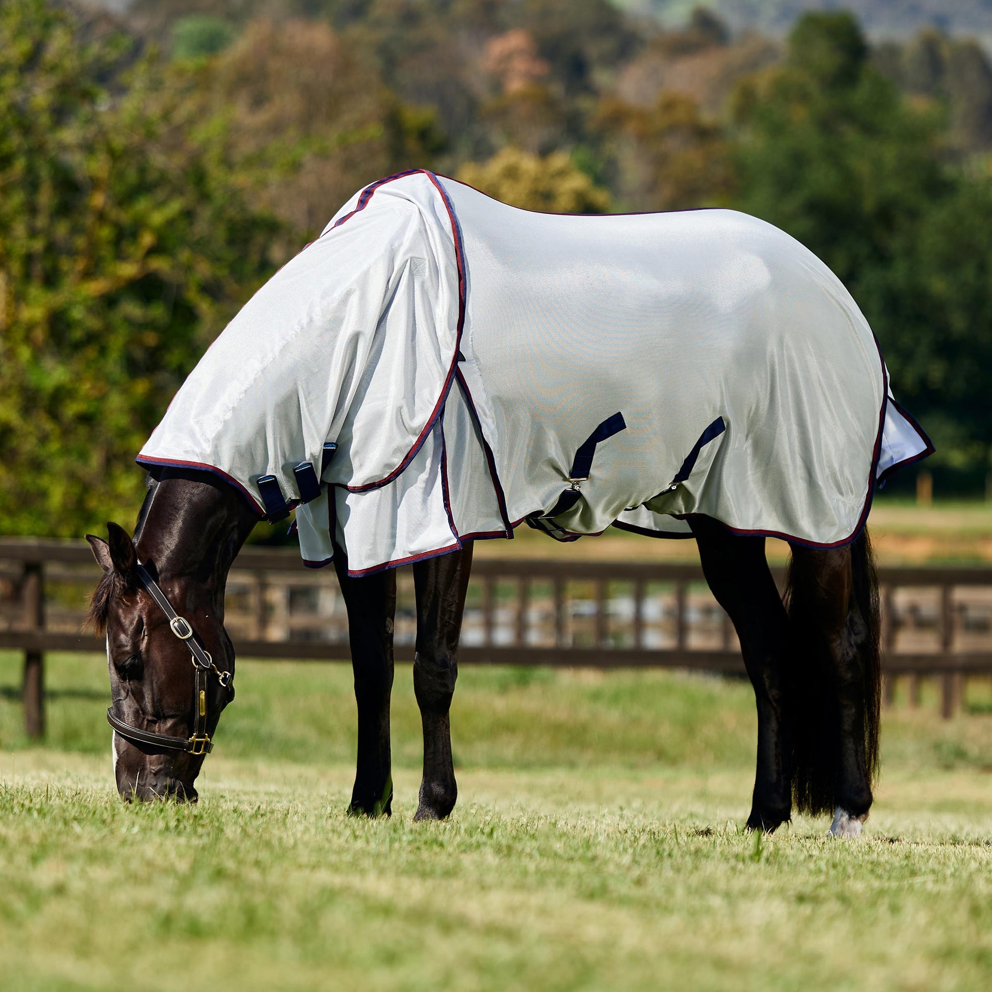image_addtnl_2 - Grey/Navy/Burgundy - WeatherBeeta ComFiTec Airflow Fly Sheet Detach-A-Neck - .jpg