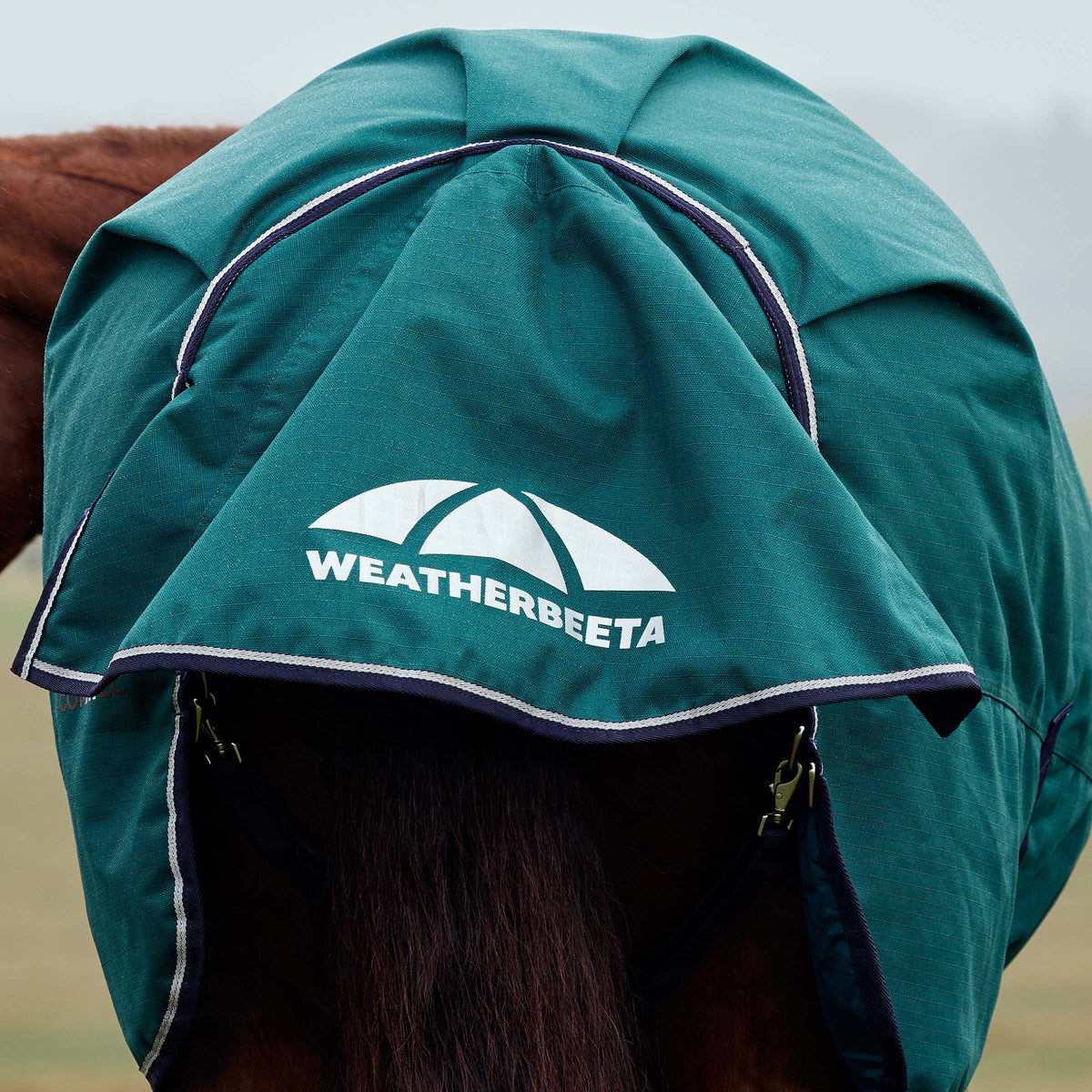 image_addtnl_3 - Forest Green/Navy - WeatherBeeta ComFiTec Plus Dynamic Turnout High Neck 220g - .jpg