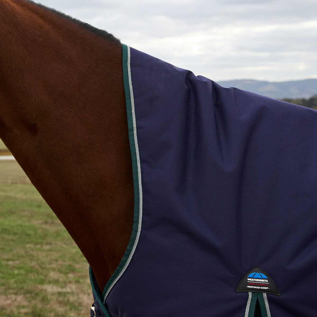 image_feature_1 - Forest Green/Navy - WeatherBeeta ComFiTec Plus Dynamic Turnout High Neck 220g - .jpg