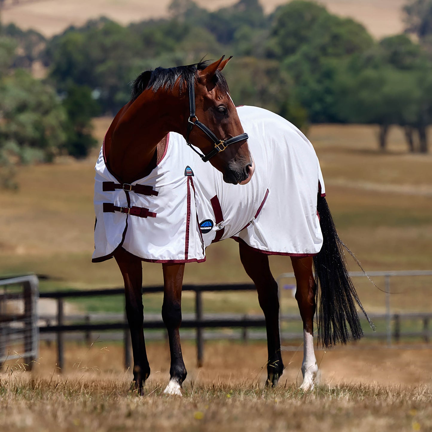 image_feature_2 - White/Burgundy - WeatherBeeta ComFiTec Essential Fly Sheet - .jpg
