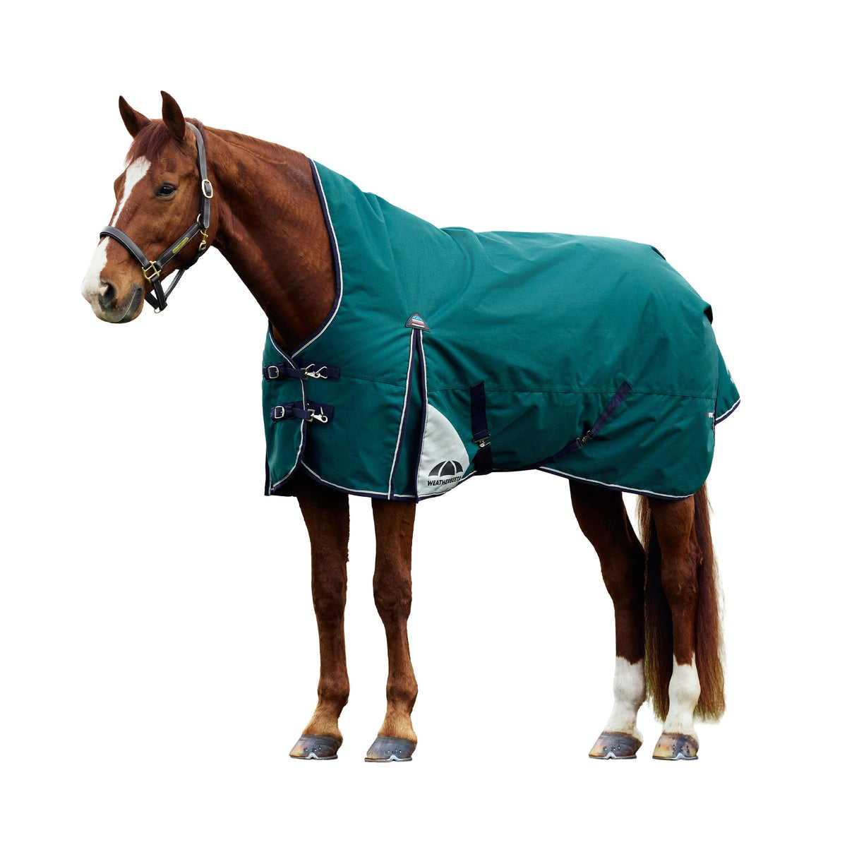 image_main - Forest Green/Navy - WeatherBeeta ComFiTec Plus Dynamic Turnout High Neck 220g - .jpg