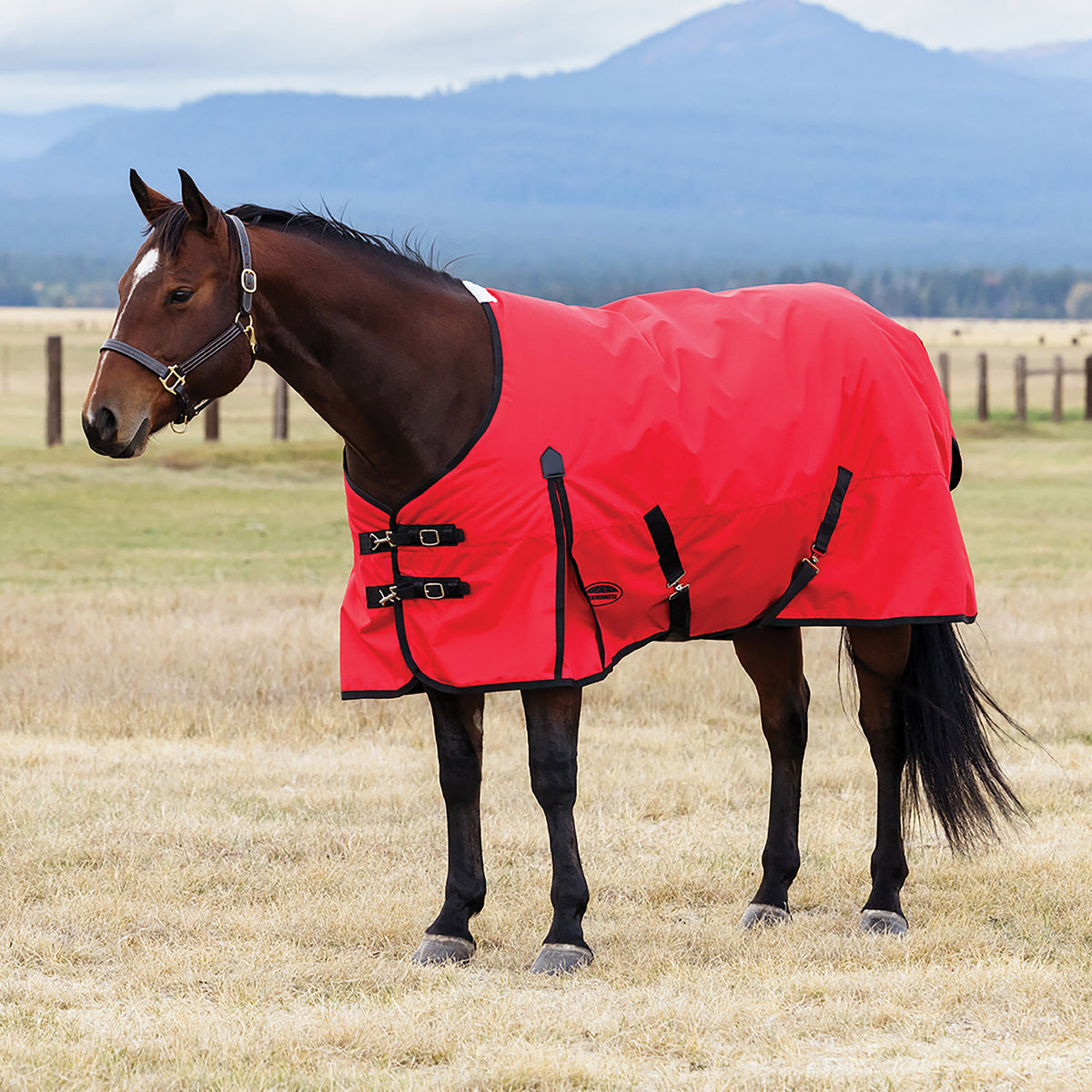 image_main - Red/Black - WeatherBeeta ComFiTec Original Standard Neck Lite - .jpg