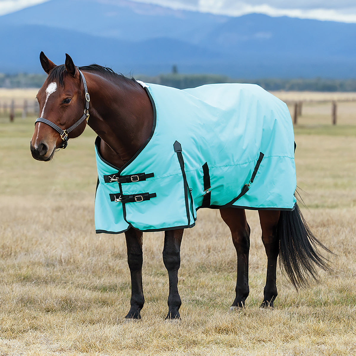 image_main - Turquoise/Black - WeatherBeeta ComFiTec Original Standard Neck Lite - .jpg