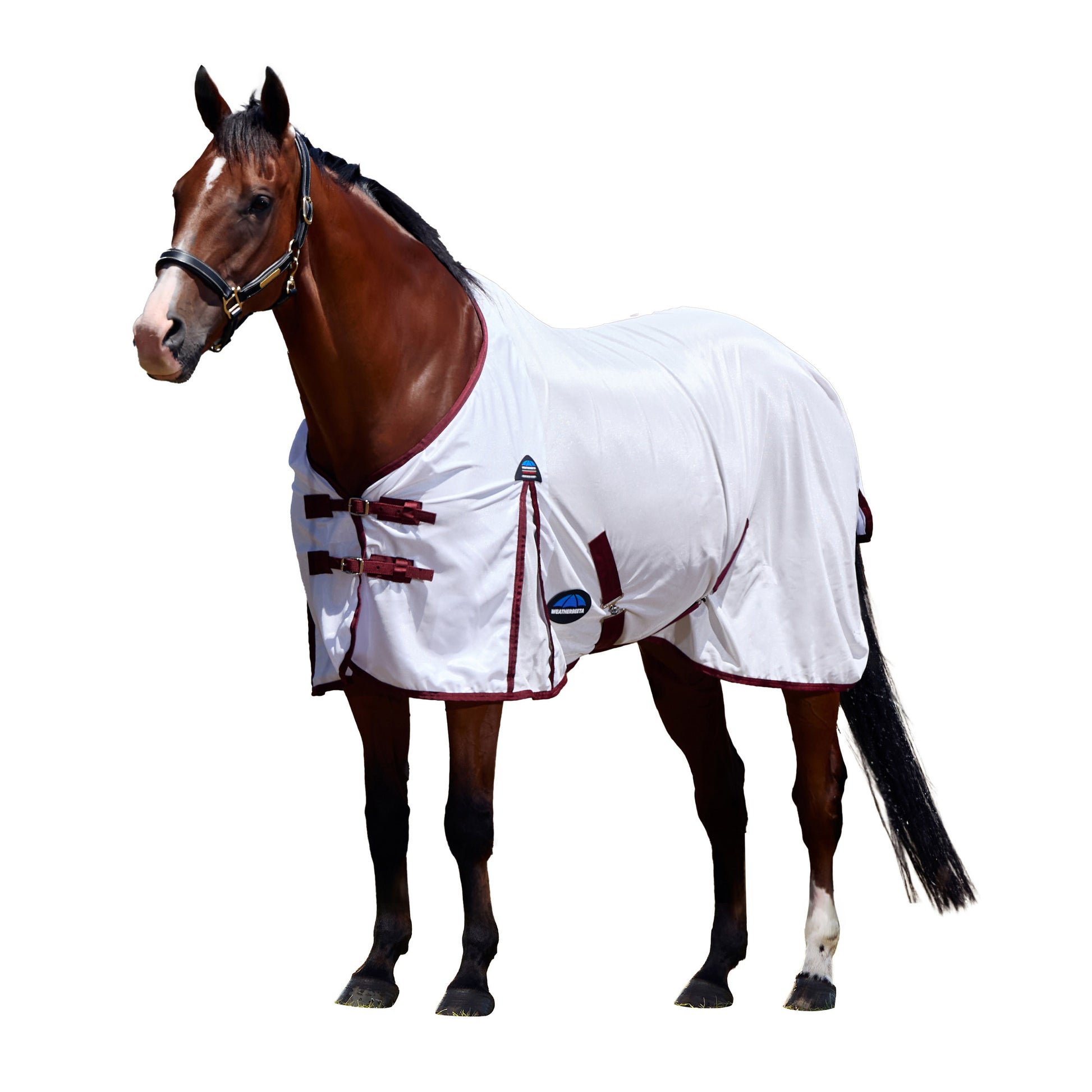 image_main - White/Burgundy - WeatherBeeta ComFiTec Essential Fly Sheet - .jpg