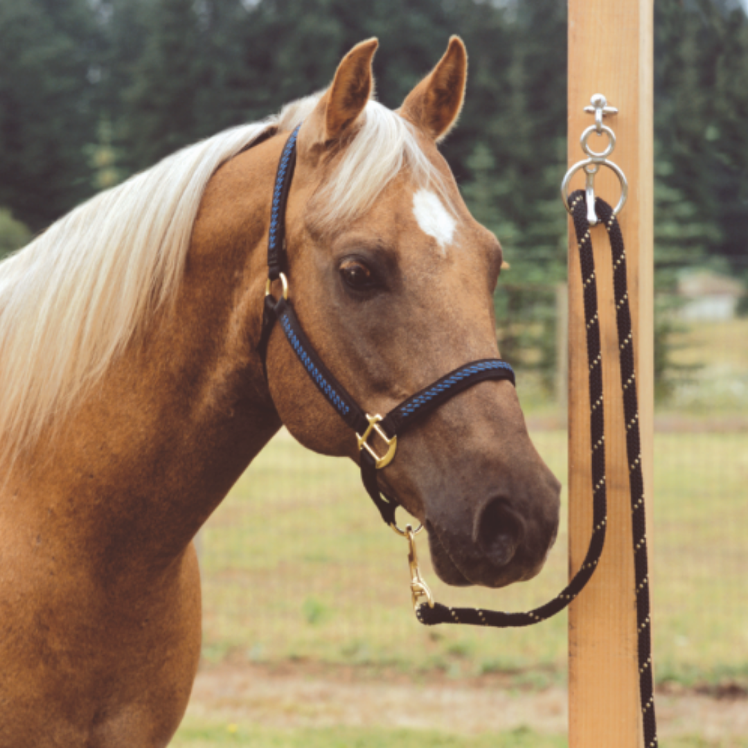 Blocker Tie Ring II - Chrome