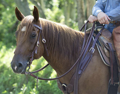 Weaver Leather Working Tack Economy Browband Headstall - 5/8"