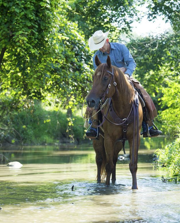 Weaver Leather Working Tack Economy Browband Headstall - 5/8"