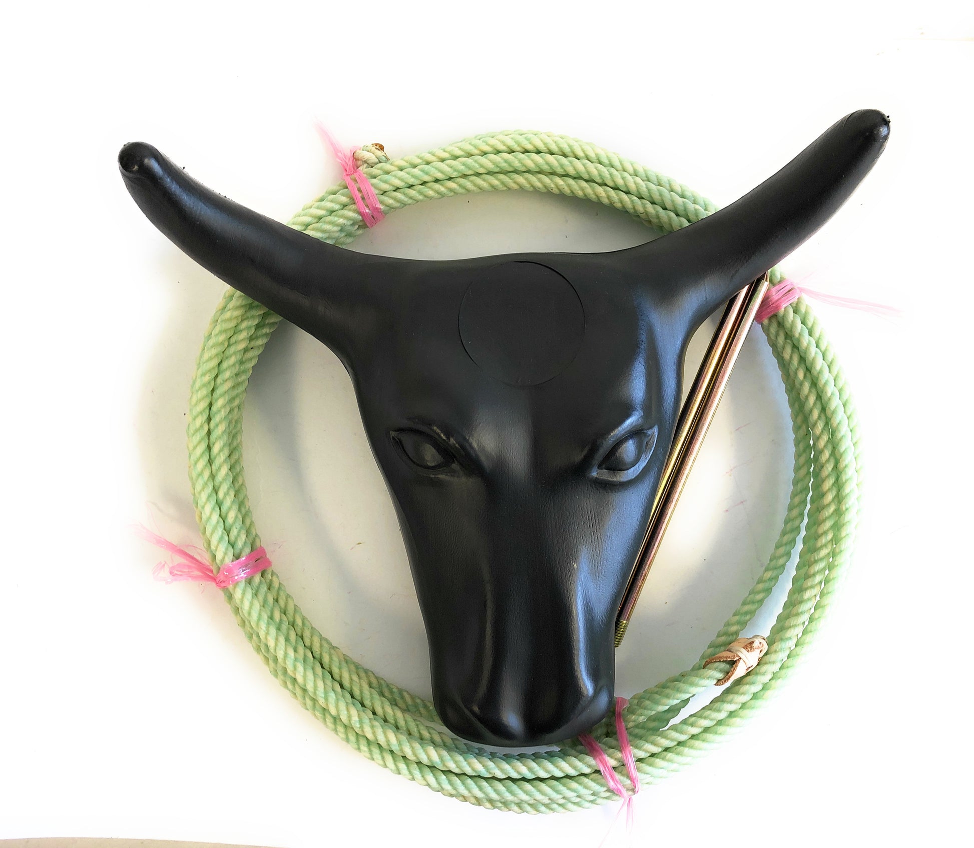 AJ Tack Junior Steer Head Dummy Set with green rope