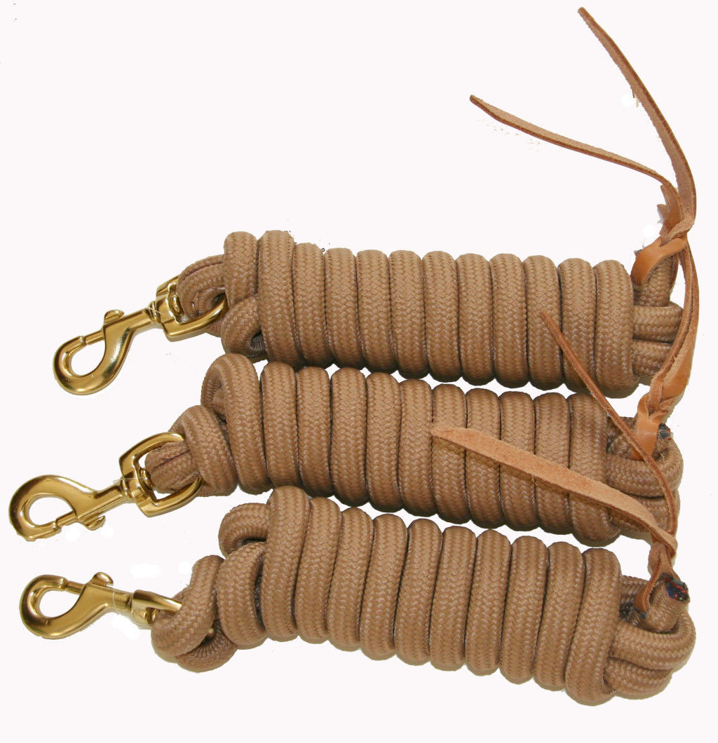 AJ Tack 9 Foot Nylon Lead Rope with Leather Popper