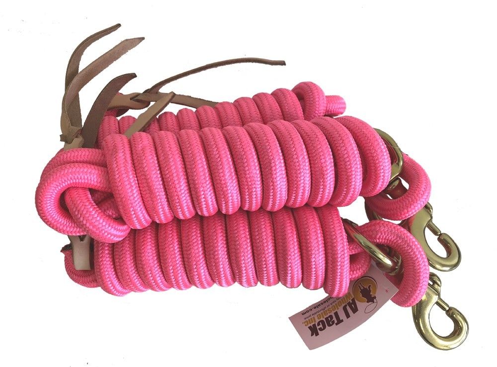 AJ Tack 9 Foot Nylon Lead Rope with Leather Popper