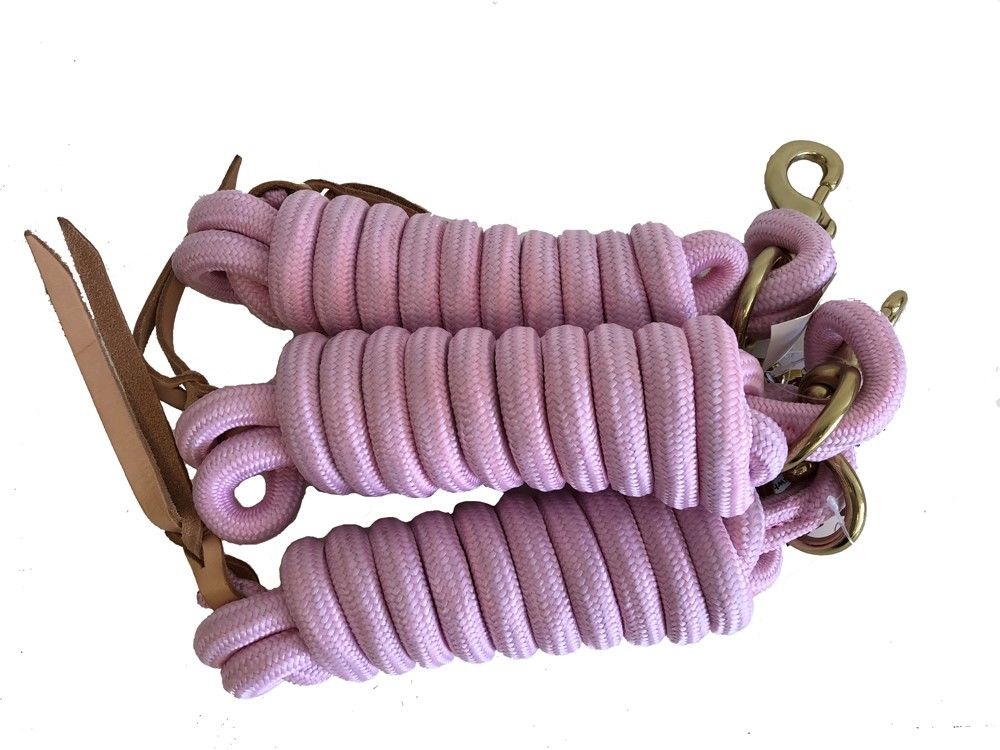 AJ Tack 9 Foot Nylon Lead Rope with Leather Popper