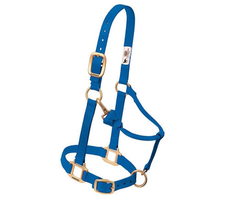 Weaver Original Adjustable Chin and Throat Snap Nylon Halter - Weanling/Pony Blue