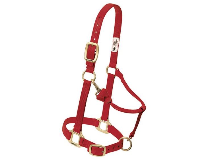 Weaver Original Adjustable Chin and Throat Snap Nylon Halter - Weanling/Pony Red