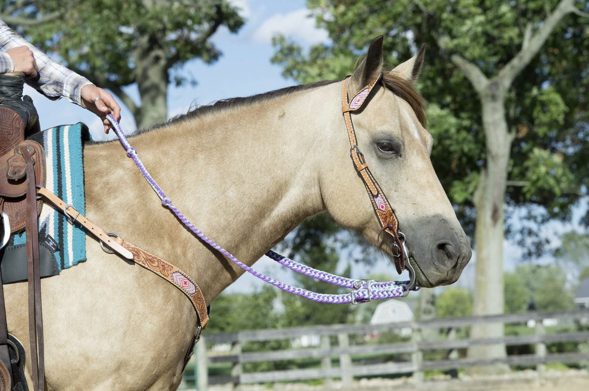 Weaver Leather flat and braided nylon barrel reins in blue, purple and hurricane blue