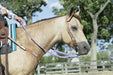 Weaver Leather flat and braided nylon barrel reins in blue, purple and hurricane blue