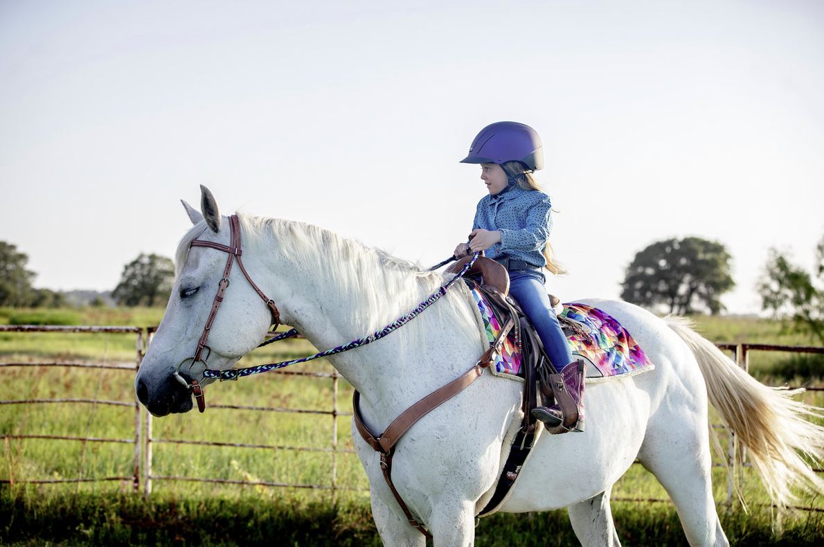 Weaver Leather flat and braided nylon barrel reins in black, purple and mint colors