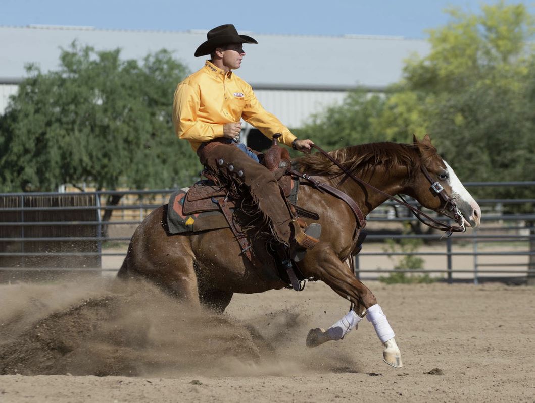 Weaver Polo Leg Wraps, 4-Pack