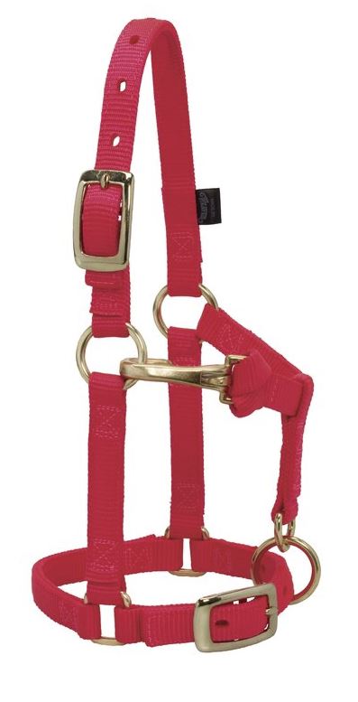 Weaver Miniature Average Horse Adjustable Chin & Throat Snap Halter Red