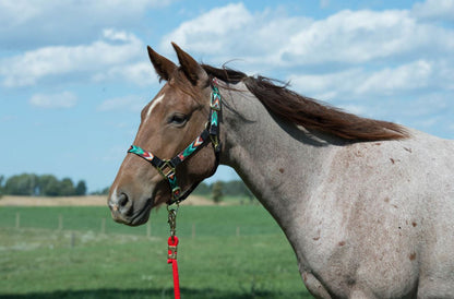 Weaver Adjustable Chin and Throat Snap Nylon Halter - Average