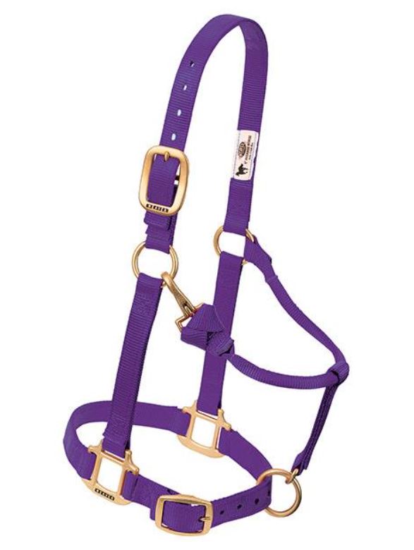 Weaver Original Adjustable Chin and Throat Snap Nylon Halter - Average Horse Purple