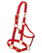 Weaver Original Adjustable Chin and Throat Snap Nylon Halter - Average Horse Red