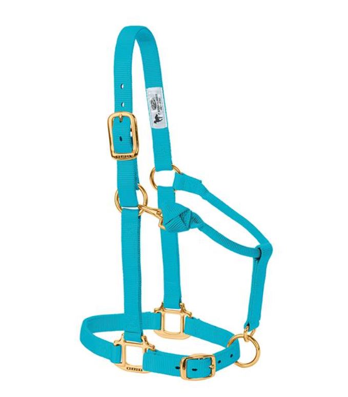 Weaver Original Adjustable Chin and Throat Snap Nylon Halter - Average Horse Turquoise