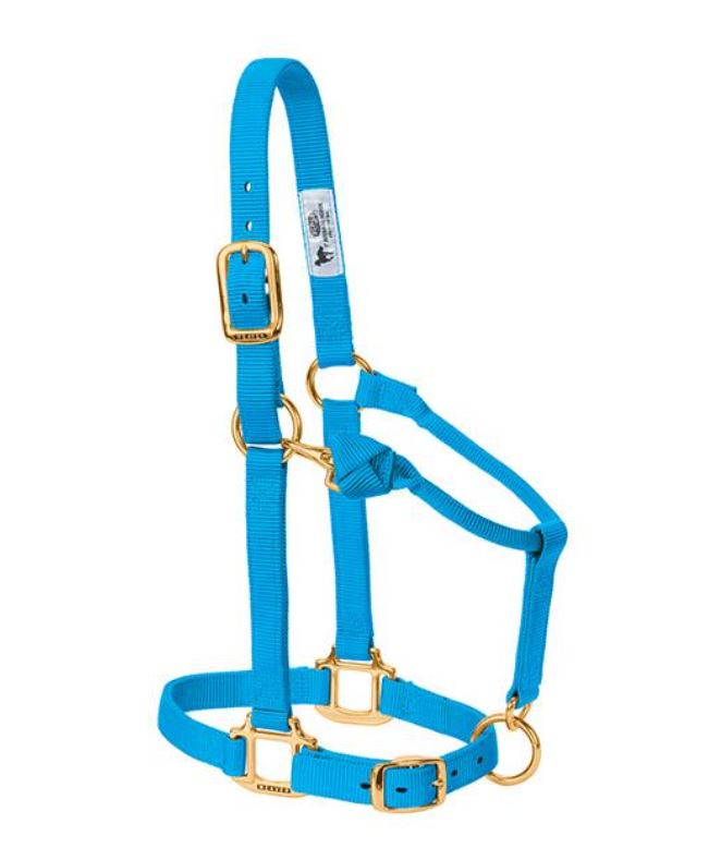 Weaver Original Adjustable Chin and Throat Snap Halter - Large Horse Hurricane Blue