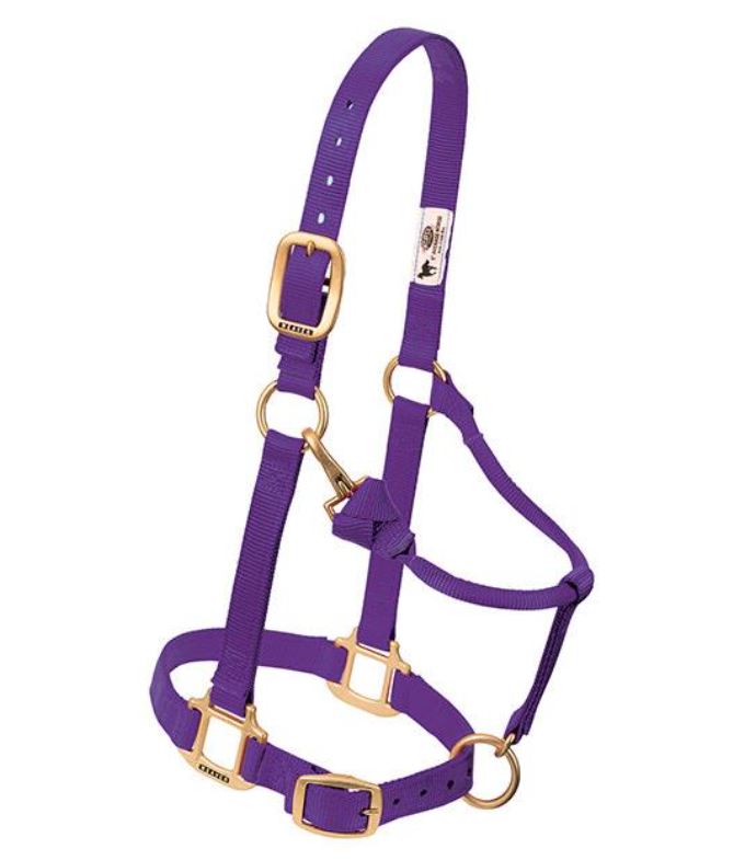 Weaver Original Adjustable Chin and Throat Snap Halter - Large Horse Purple