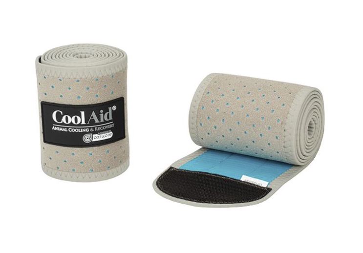 Weaver CoolAid Equine Icing and Cooling Polo Wraps