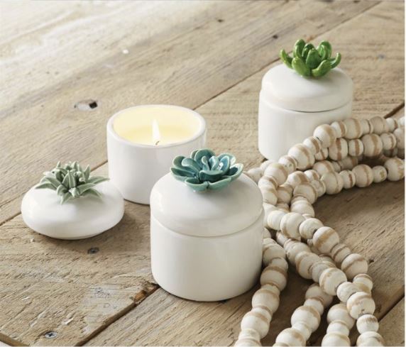 Mud Pie Succulent Citronella Candle