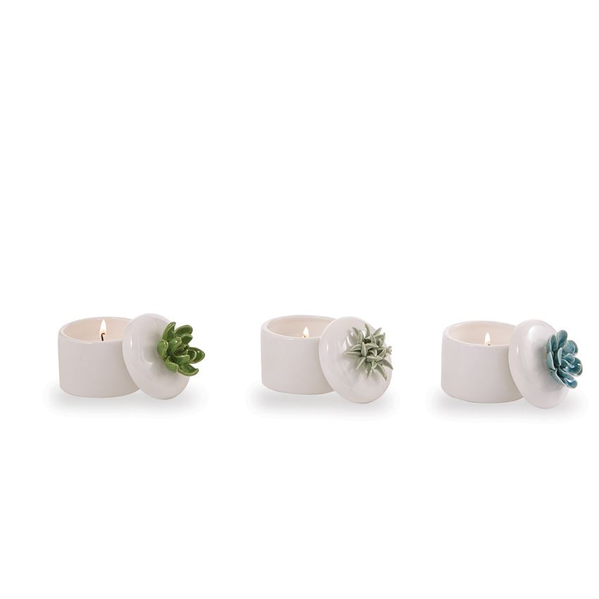 Mud Pie Succulent Citronella Candle