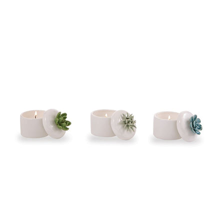 Mud Pie Succulent Citronella Candle