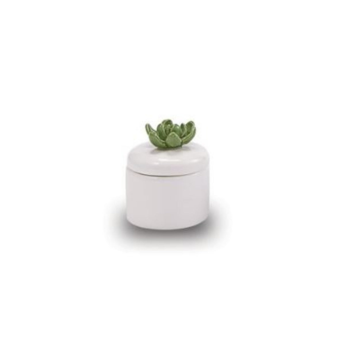 Mud Pie Succulent Citronella Candle Green