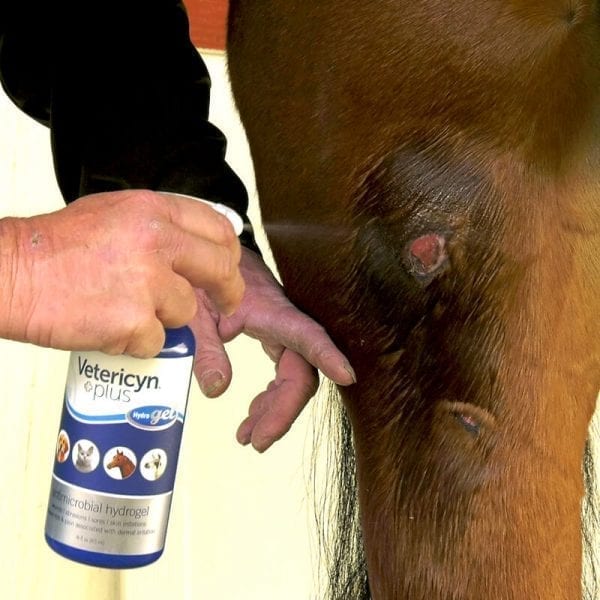 Horse owner treating a wound on a horse with Vetericyn Plus Antimicrobial Hydrogel