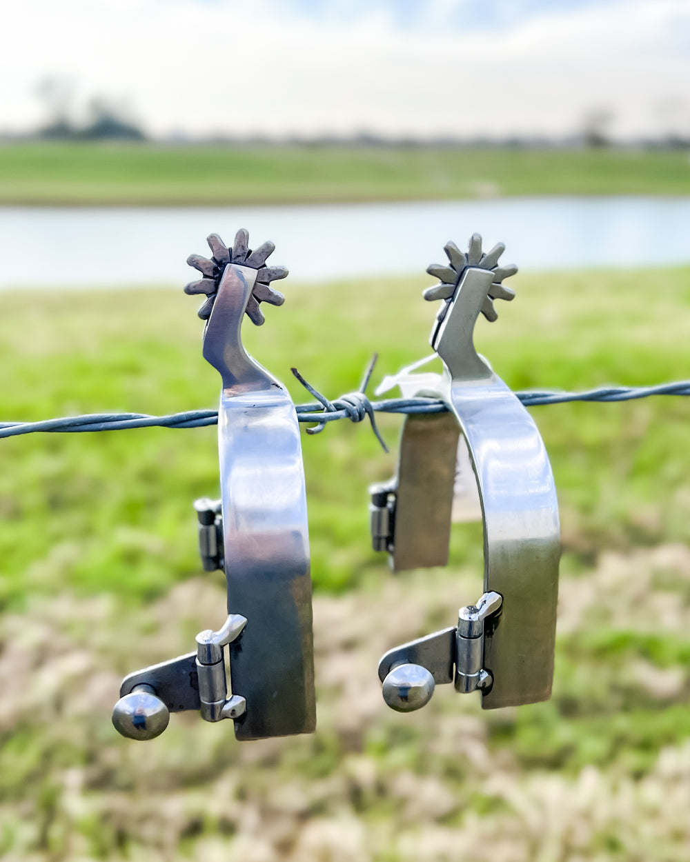Pair of Men's Brushed Stainless Steel Spurs on a barb wire fence