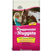 1 pound bag of Peppermint Horse Nuggets